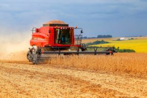 SOJA: plantio chega a 5,6 milhões de hectares e estiagem preocupa
