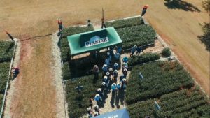 Dia D Campo Plantar, uma escola a céu aberto