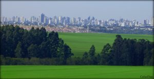 VBP da Região Oeste soma R$ 30 bilhões