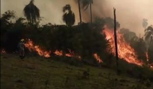 Incêndios incontroláveis atingem área ambiental no PR