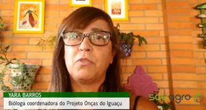 Bióloga explica as causas de aparições de onças na cidade