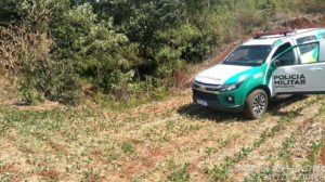 Operação ambiental flagra crimes em nascentes no Paraná