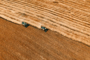 Em 9 meses PIB do agronegócio cresce 10,8%