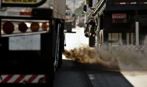 Brasil deve ser destaque em soluções de baixo carbono