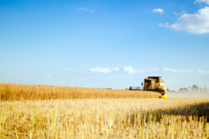 Ipea divulga perspectivas de produção e preços agropecuários para 2022