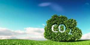 Oeste paranaense tem grande potencial no mercado de carbono