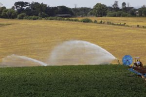 Banco do Agricultor soma R$ 152 milhões financiados
