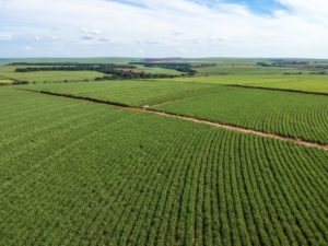 Análise dos cadastros rurais avança no Brasil
