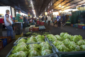 Curitiba é sede do encontro das Ceasas do Brasil