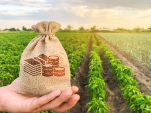 Contratação de crédito rural chega a R$ 131,4 bilhões