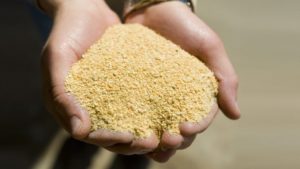 Farelo de soja: com mais demanda que oferta, preços sobem