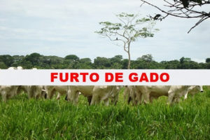 Fazenda é alvo de furto de gado pela 2ª vez, sempre no fim de ano