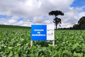Giro técnico da soja trouxe soluções para aumento da produtividade