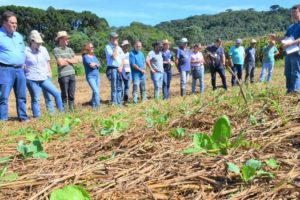 Quase 90 mil agricultores já foram atendidos pelo IDR-Paraná