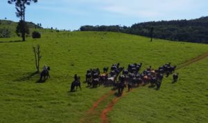 VEJA O CLIPE: sertanejos fazem tributo à pecuária