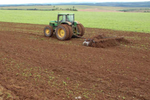 Paraná conclui plantio; veja as condições das lavouras