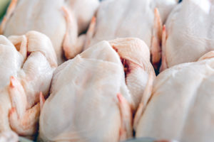 Exportações da carne de frango mantém alta de 9,08%