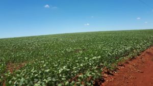 Chuvas no Paraná ficaram abaixo da média histórica