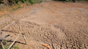 “Não adianta chorar”, desabafa agricultor que abandonou plantio de orgânicos por falta de água
