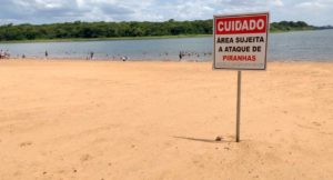 Bombeiros alertam sobre risco de ataque de piranhas