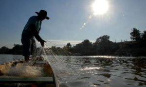 Linha de crédito é criada para pescadores artesanais