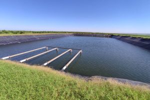 Agro representa 60% das contratações do BRDE
