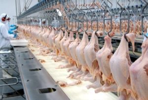 Carne de frango tem valorização de 13% na exportação