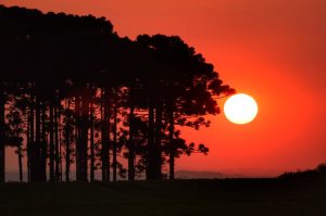Cidades do Paraná ultrapassam 40°C durante “Calorão”