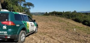 Desmatamento a tráfico de animais: Polícia Ambiental atendeu mais de 14 mil ocorrências