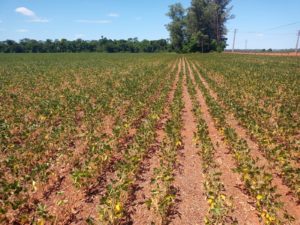 Oeste pede socorro à comitiva do Ministério da Agricultura