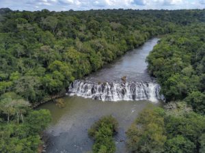 Paraná vai investir R$ 441 milhões em projetos ambientais