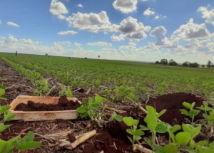 Novo método identifica fatores que limitam produtividade