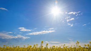 Semana será de muito calor