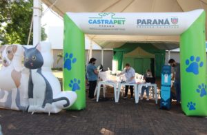CastraPet Paraná chega a mais 12 municípios neste mês