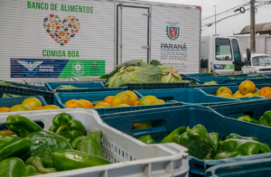 Agricultura familiar: iniciativas fortalecem o setor