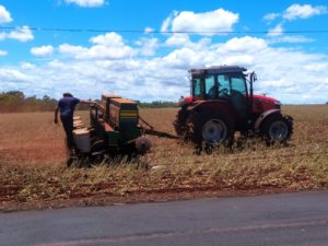 Com perda da soja, agricultores antecipam plantio do milho safrinha