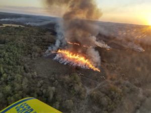 Aviação agrícola ajuda no combate a incêndios no Brasil