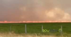 IMAGENS FORTES: fogo consome pasto e animais