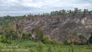 Mais um desmatamento ambiental é flagrado pela Polícia