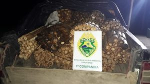Apreensão de palmito ilegal gera multa de quase R$ 400 mil
