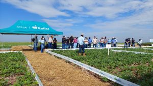 Dia de Campo reuniu colaboradores da Corteva e parceiros das revendas e do setor cooperativista