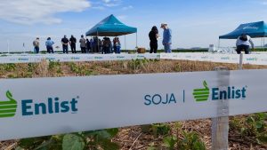 VÍDEO: Corteva realiza o Dia de Campo Enlist 360