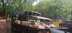 Homem que transportava agrotóxicos pula do carro em chamas