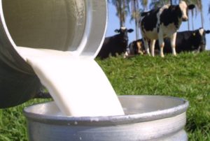 Cenário da produção de leite é desafiador
