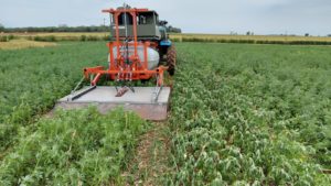 Máquina de capina a vapor controla plantas daninhas