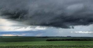 O que a chuva representa nas lavouras do Paraná?