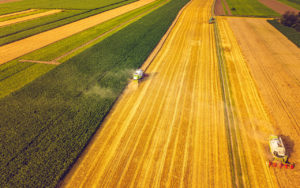 4 cidades do PR estão entre as mais ricas do Agro
