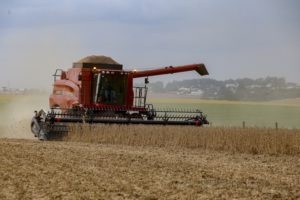 Estiagem causa perdas de R$ 24 bi na agricultura do PR