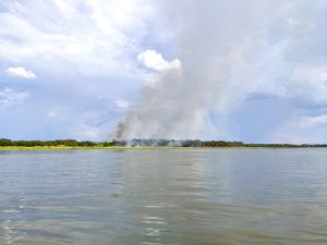 Incêndio destrói vegetação e animais em ilha no PR