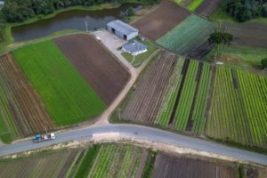 Potencial de energia renovável do oeste atrai comitiva alemã